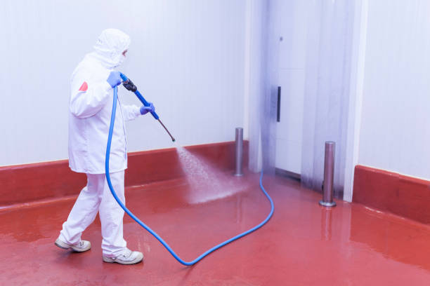 Best House Exterior Washing  in Blakely, GA